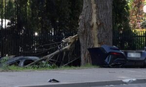 Врізався в дерево і спалахнув: серед загиблих в ДТП у Варшаві двоє українців