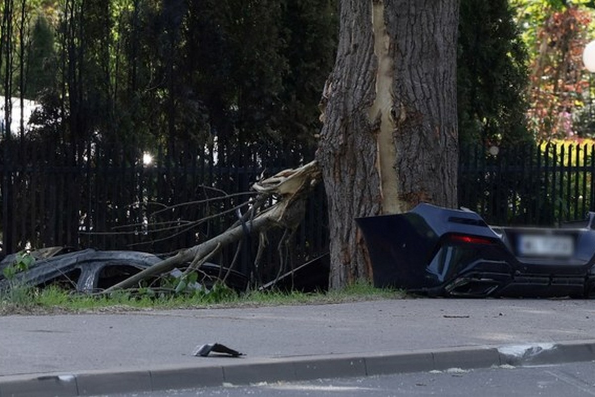Врізався в дерево і спалахнув: серед загиблих в ДТП у Варшаві двоє українців