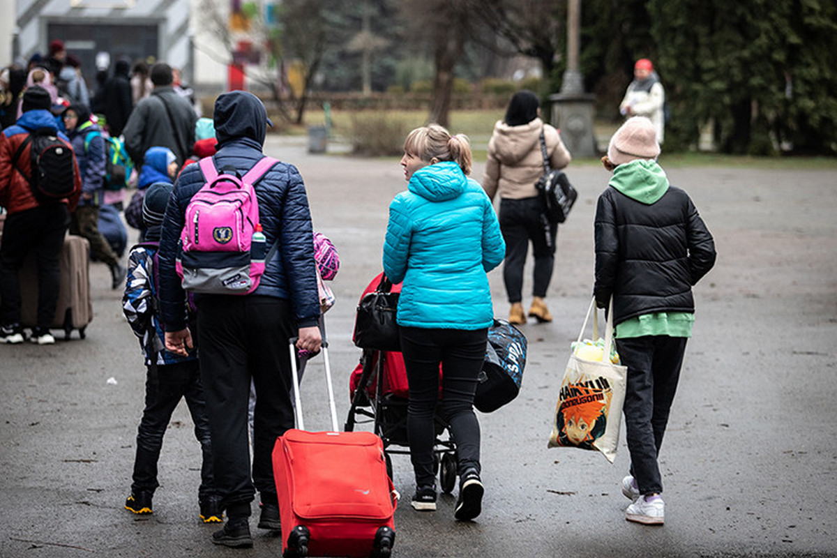 Перевірка ВПО в Україні – як переселенцям не втратити фінансову допомогу
