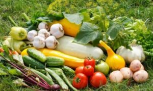 Найпростіші овочі для вирощування – ТОП-7