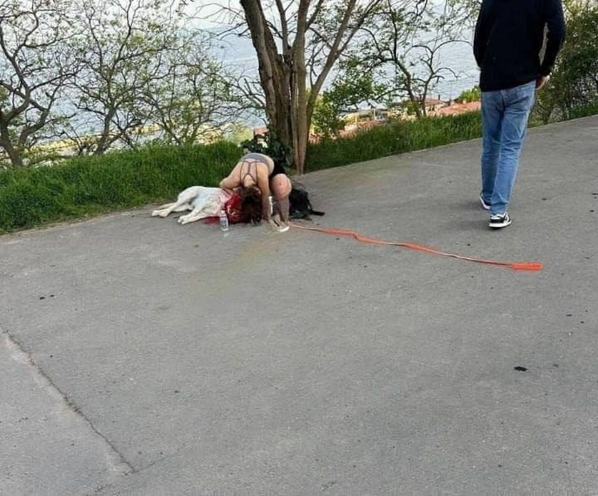 В Одесі попрощалися з собакою, вбитою росіянами, і вшанували пам’ять усіх загиблих тварин