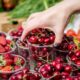 В Україні змінилися ціни на полуницю –скільки коштує найпопулярніша ягода травня