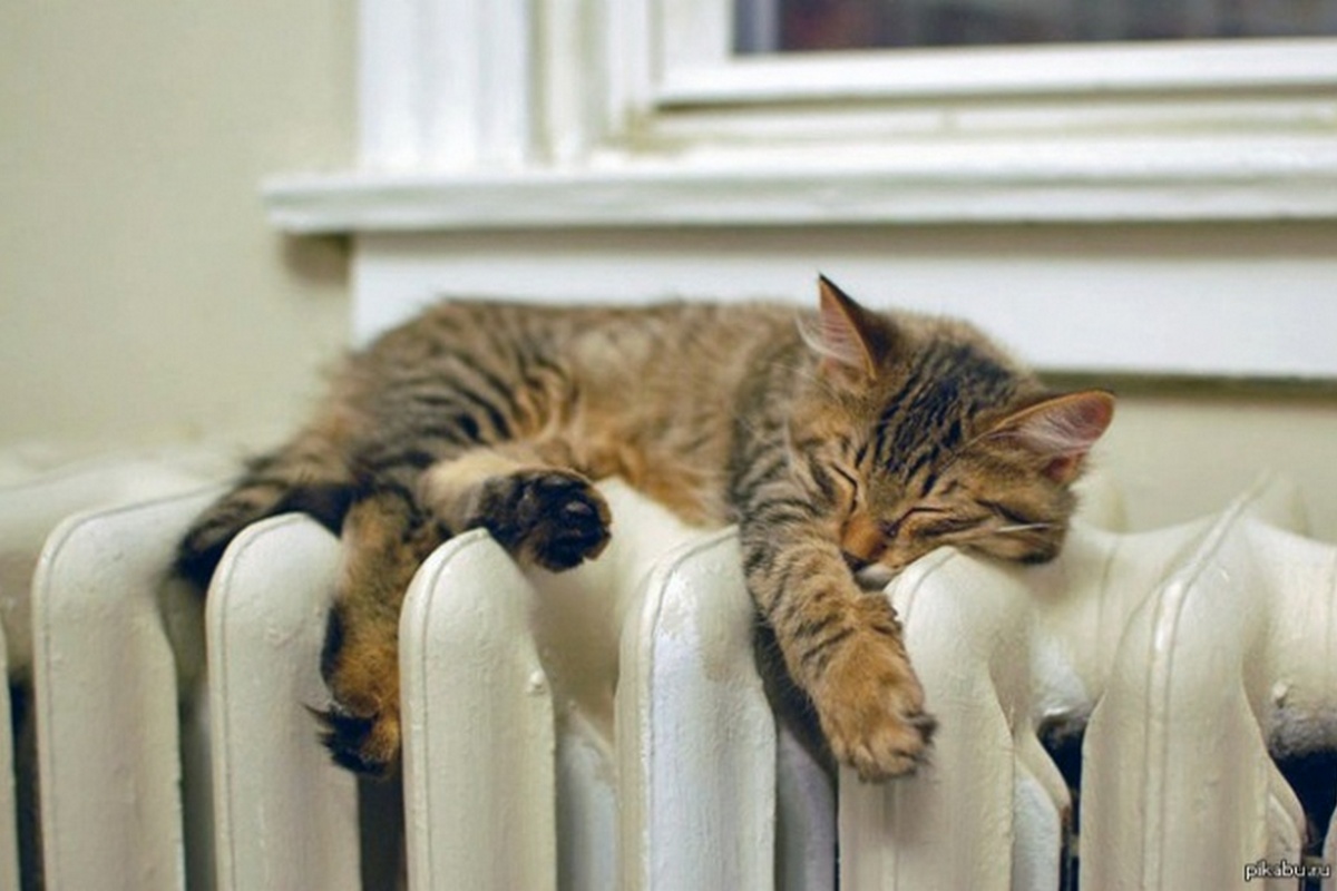 Як зберегти тепло в квартирі без опалення - 15 способів 