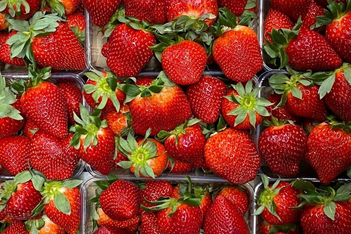 В Україні змінилися ціни на полуницю –скільки коштує найпопулярніша ягода травня	