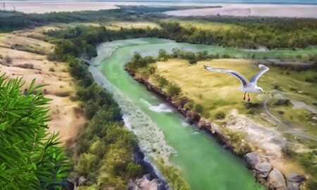 Під час останньої експедиції на дні Каховського водосховища виявили багато цікавого: це допоможе людям