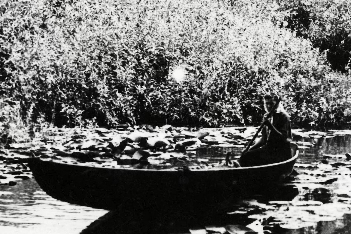 На дніпровських плавнях, 1953 рік. Фото з архіву Андрія Селецького