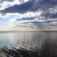 Чи відновилося Чорне море після підриву Каховської ГЕС – відповіли екологи