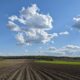 Аграрії в Україні можуть отримати 25% компенсації вартості придбаної сільгосптехніки