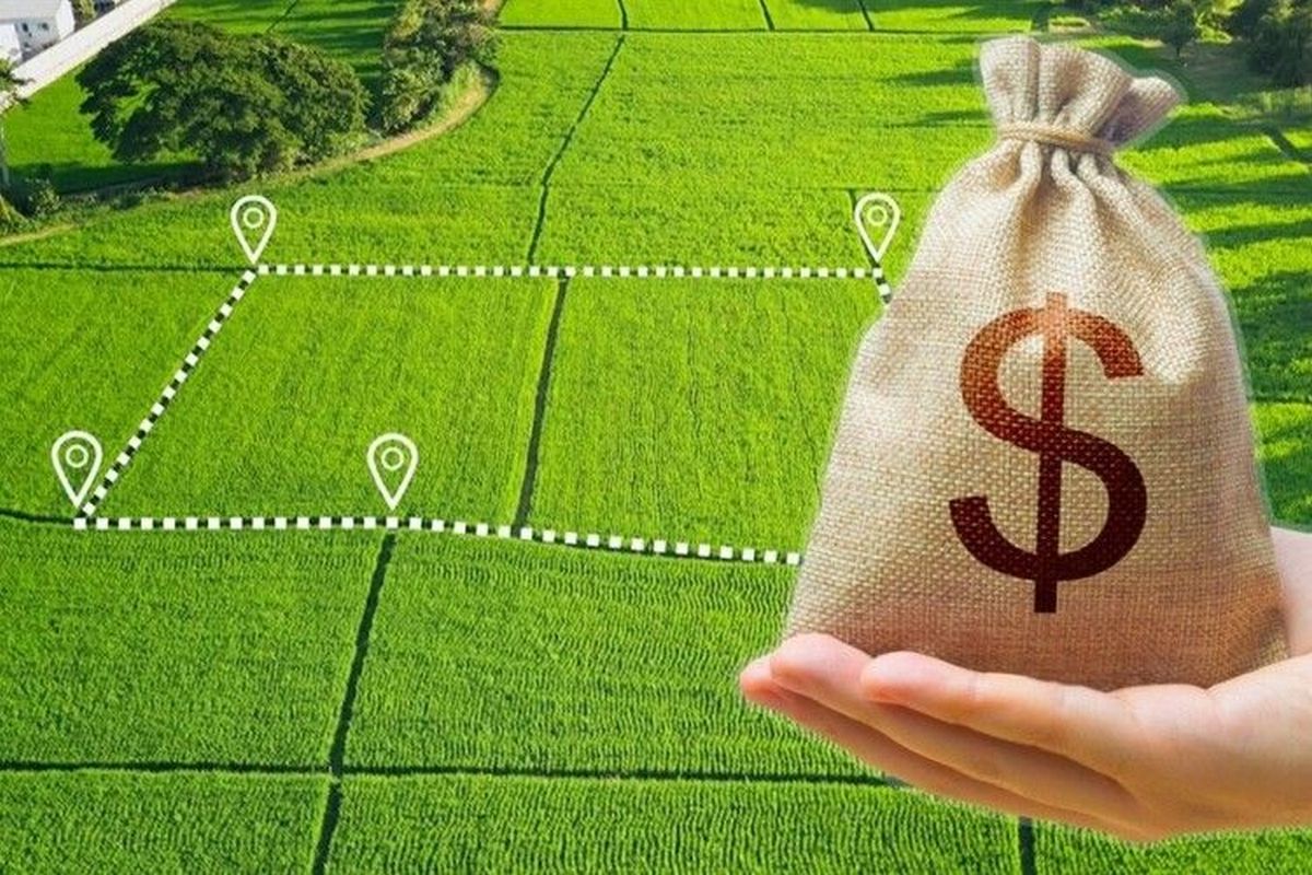 В Україні зросли ціни на землю – скільки коштує гектар