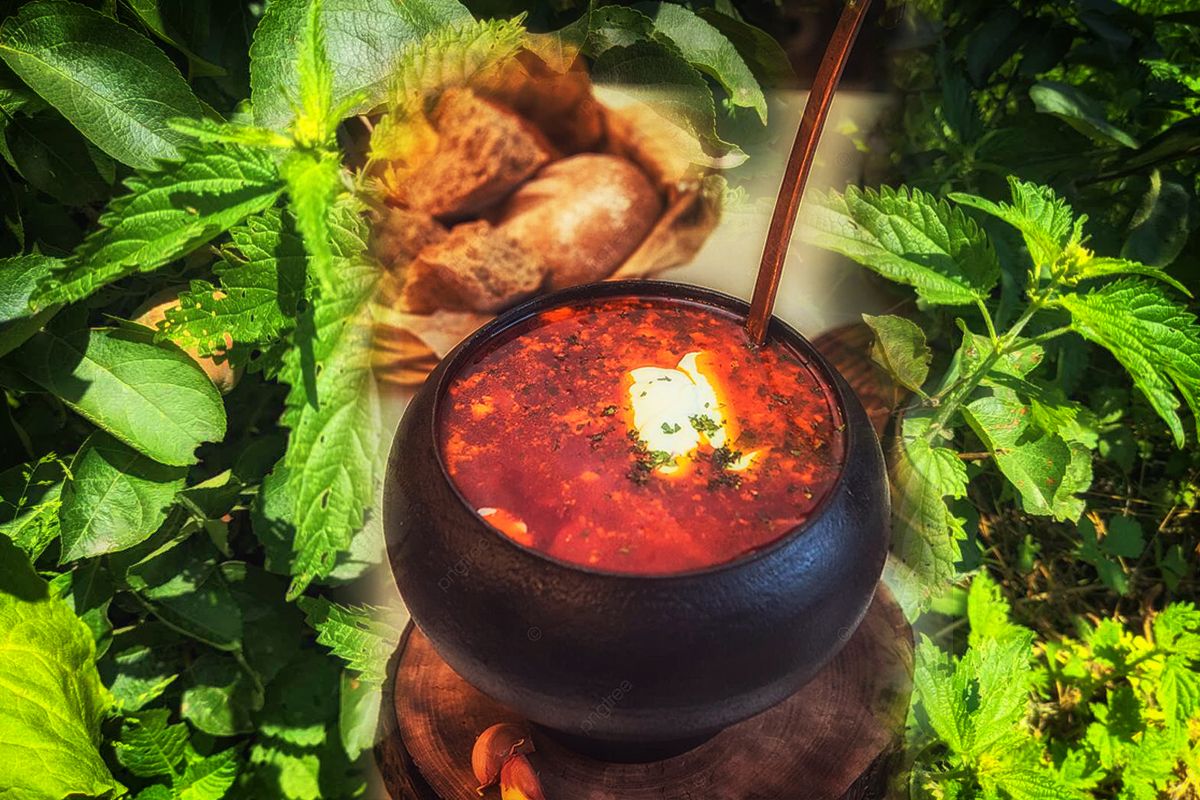 Сьогодні Кропив’яне заговіння: рецепт козацького борщу з кропиви, який треба було встигнути з’їсти 12 разів