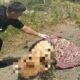 Окупанти вдарили по центу Херсона: загинула жінка, 10 поранених – серед них комунальники (відео)
