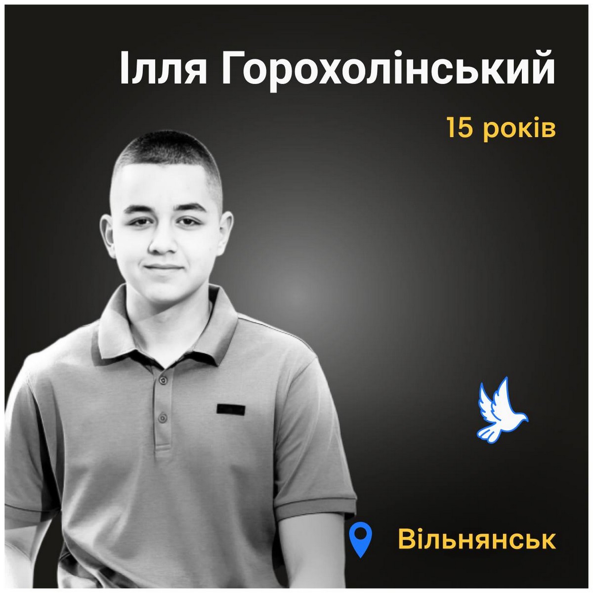 Меморіал: вбиті росією. Ілля Горохолінський, 15 років, Вільнянськ, червень