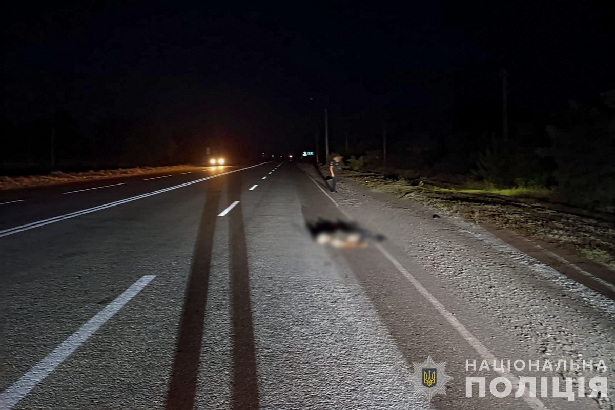 У Запорізькій області водій насмерть збив військового та втік