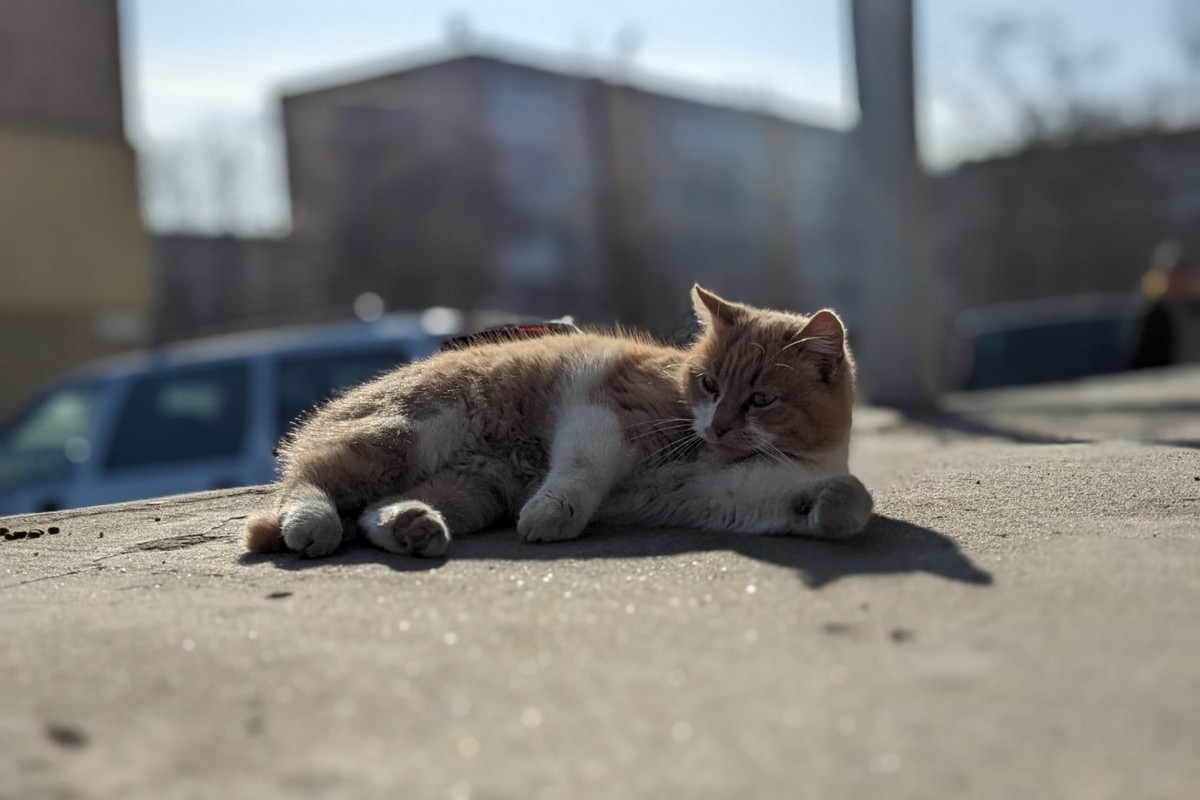 В Україну суне аномальна спека - і надовго: як її пережити