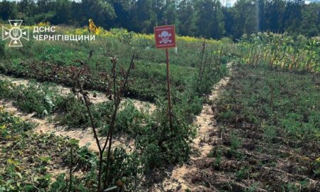 Сапери в шоці: українці підв’язують помідори табличками «Небезпечно, міни!» (фото, відео)