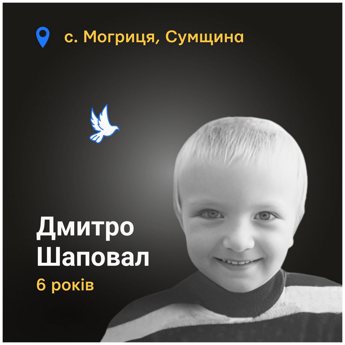 Меморіал: вбиті росією. Дмитро Шаповал, 6 років, Сумщина, серпень