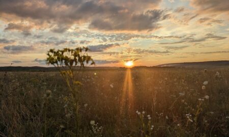 13 серпня – яке сьогодні свято, прикмети і традиції, пам’ятні дати, іменини