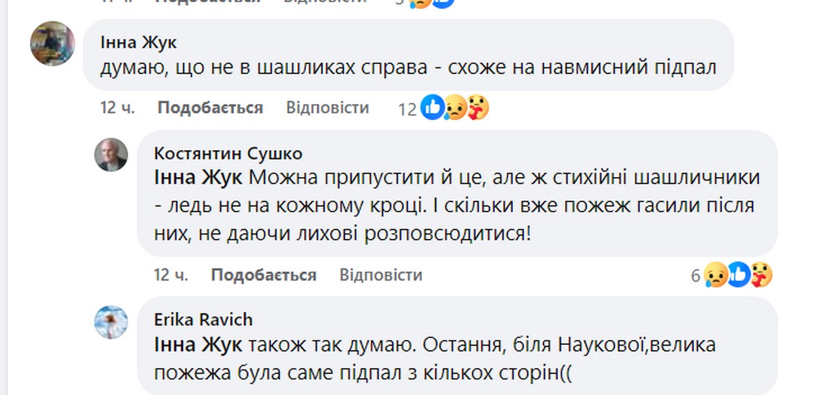 Хтось випалює Хортицю: знищено тисячі й тисячі старих дерев (фото)