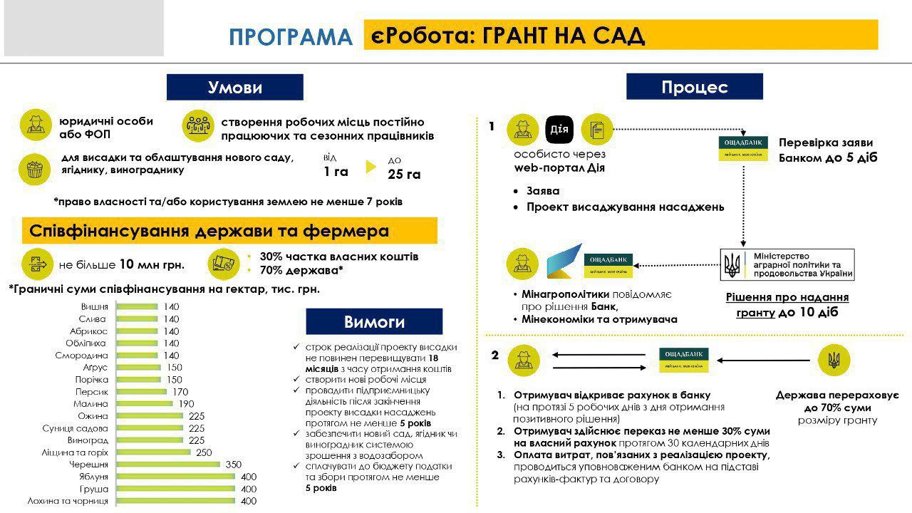 Гранти через «єРобота»: 6 видів допомоги