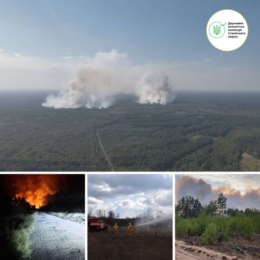 Пожежа у Чорнобильській зоні вирує восьму добу - подробиці