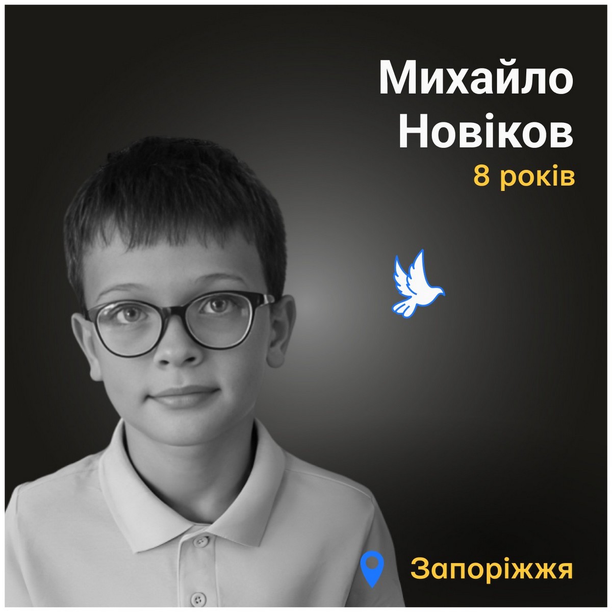 Меморіал: вбиті росією. Михайло Новіков, 8 років, Запоріжжя, вересень