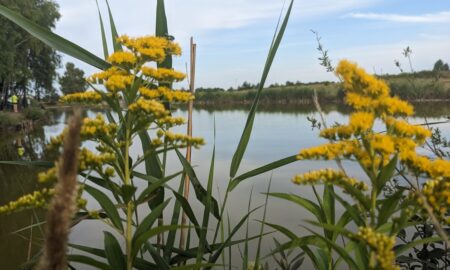 11 вересня – яке сьогодні свято, прикмети і традиції, пам’ятні дати, іменини