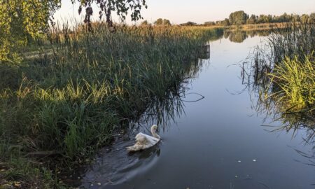 Теплий понеділок: якою буде погода в Україні 23 вересня