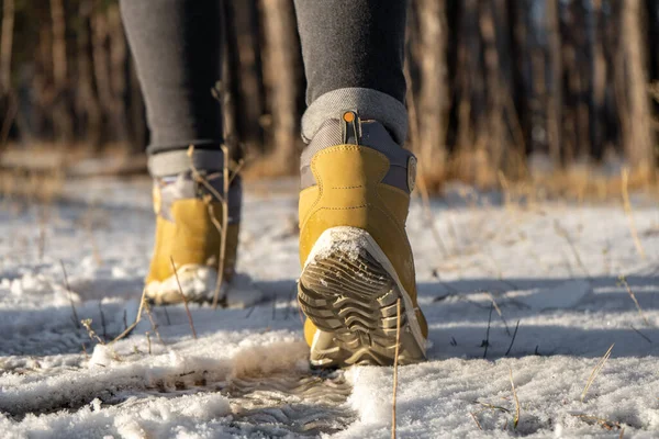 depositphotos 438626984 stock photo warm female boots snow hiking