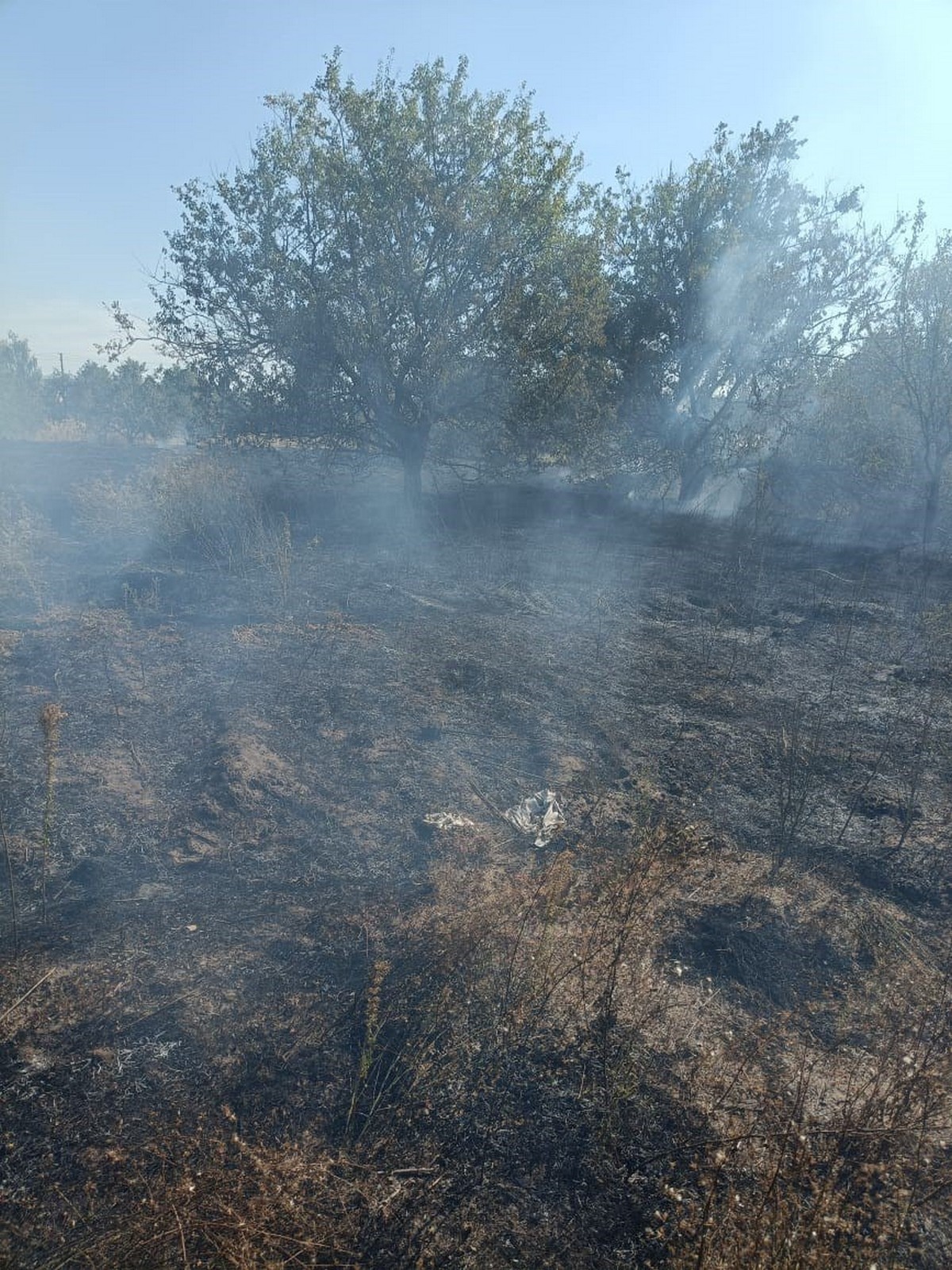 Окупанти вбили трьох жінок з одного селища