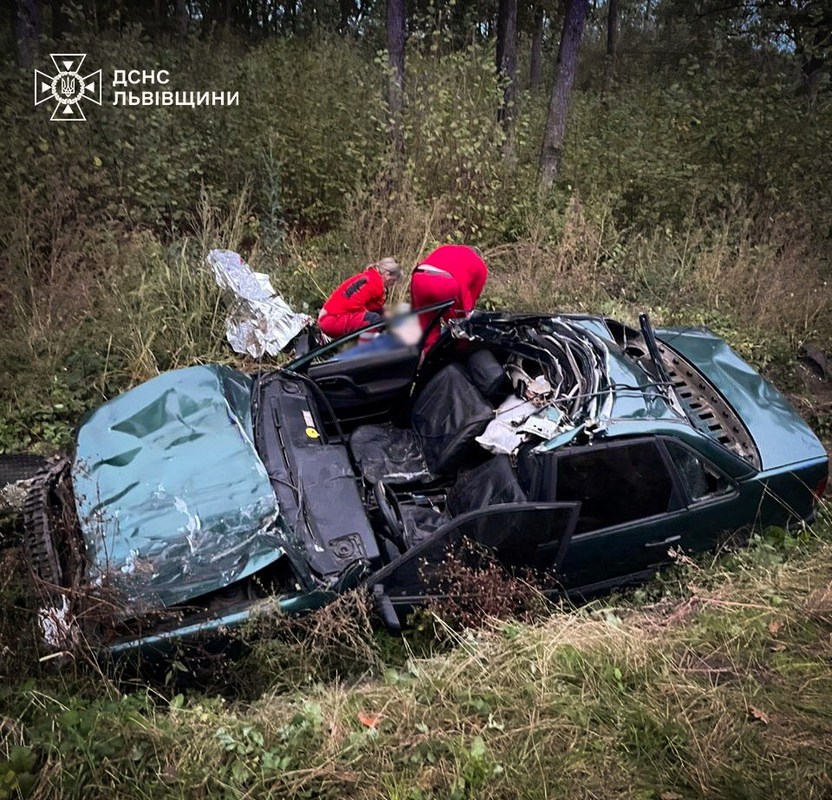 Буйвіл спричинив смертельну ДТП на Львівщині - медики врятували одного з постраждалих