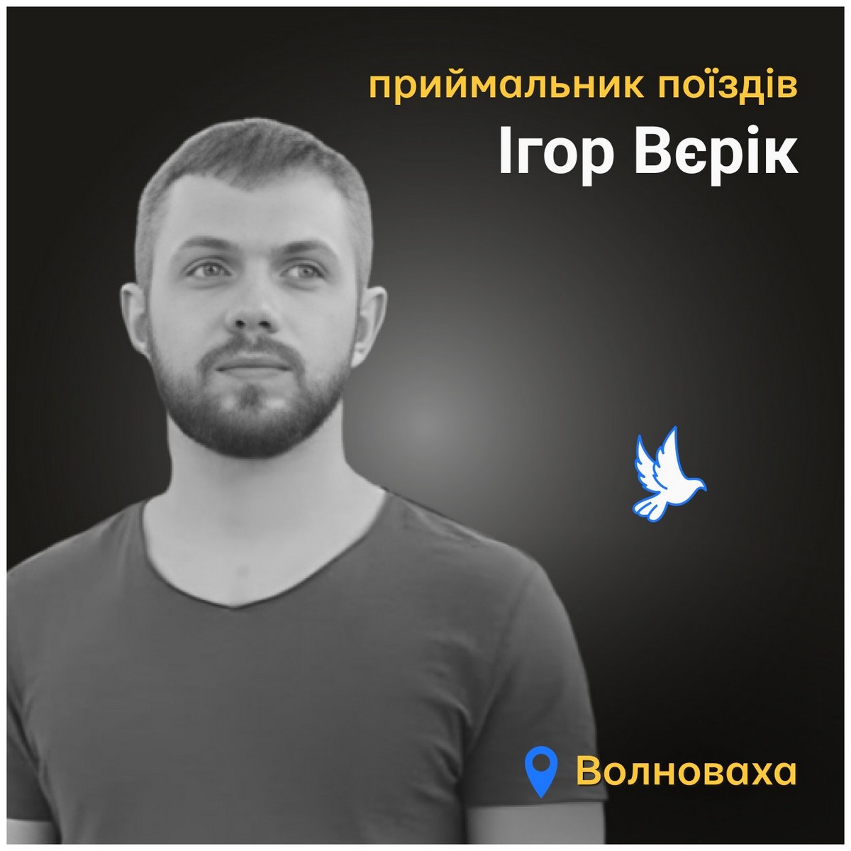 Меморіал: вбиті росією. Ігор Вєрік, 36 років, Волноваха, березень