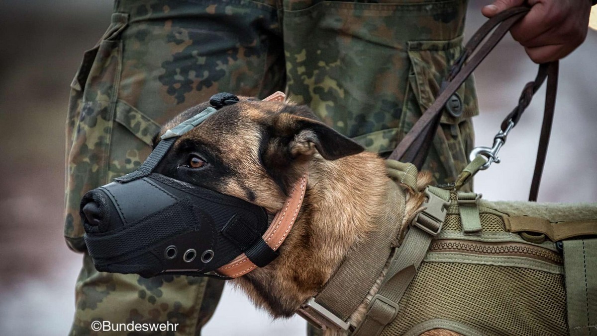 18 жовтня на фронті: ситуація напружена, ворог безупинно атакує, кількість зіткнень зросла