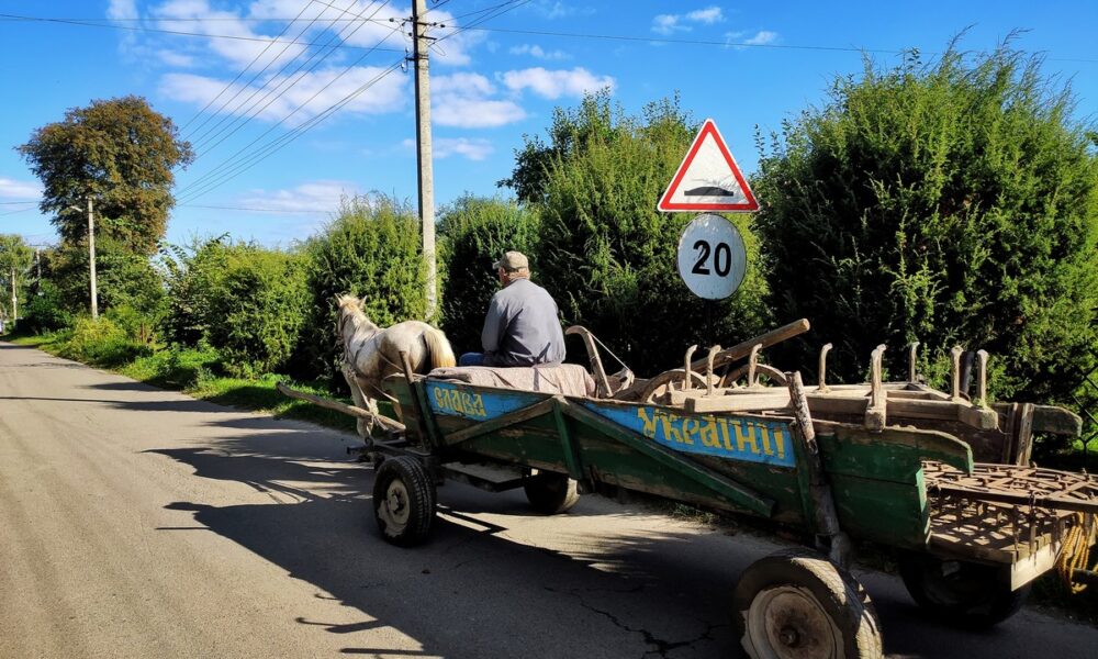 Стало відомо, скільки в Україні довгожителів і де живе найстарша людина