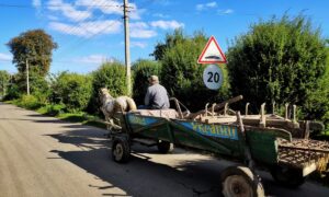 Стало відомо, скільки в Україні довгожителів і де живе найстарша людина