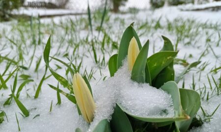 В Україні очікується негода, у деяких регіонах прогнозують заморозки – прогноз погоди на вихідні