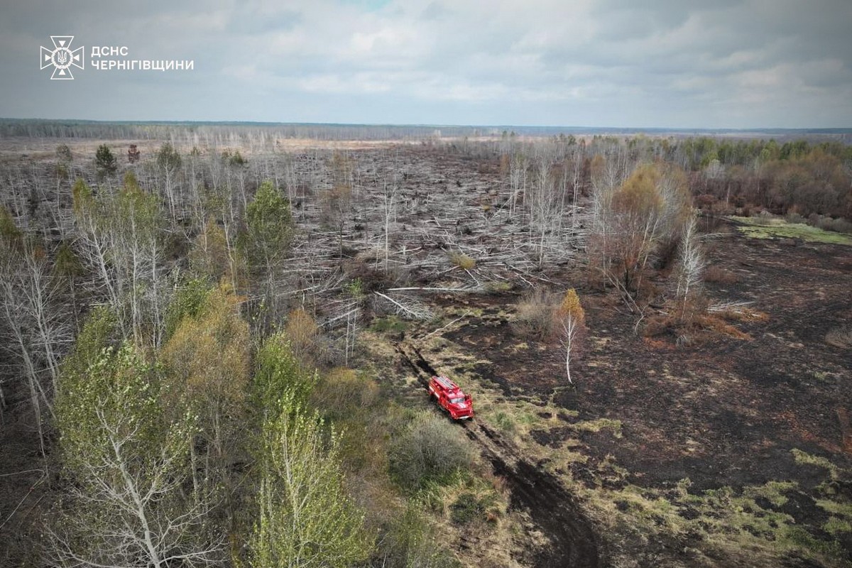 На Чернігівщині майже місяць горить торф (фото)