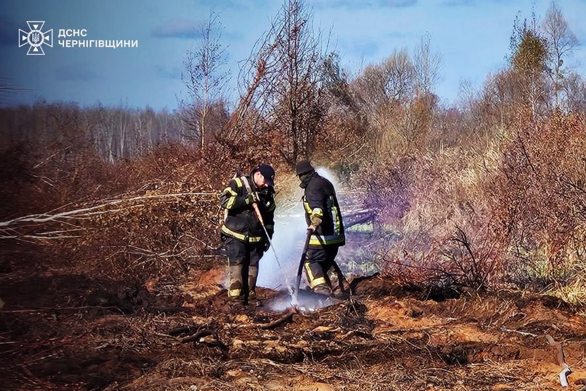 На Чернігівщині майже місяць горить торф (фото)