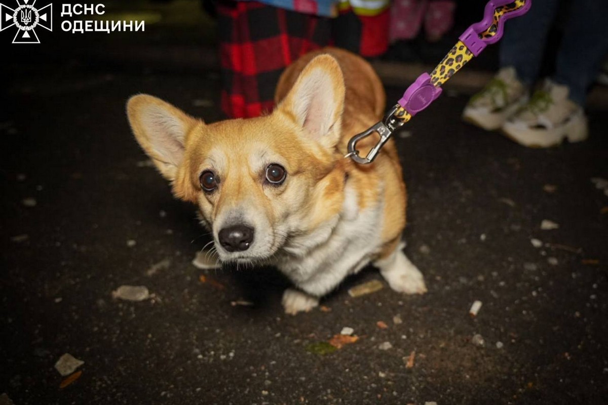 Ворог масовано атакував Одесу: зруйновано багатоповерхівку в центрі, є загибла і поранені (фото, відео)