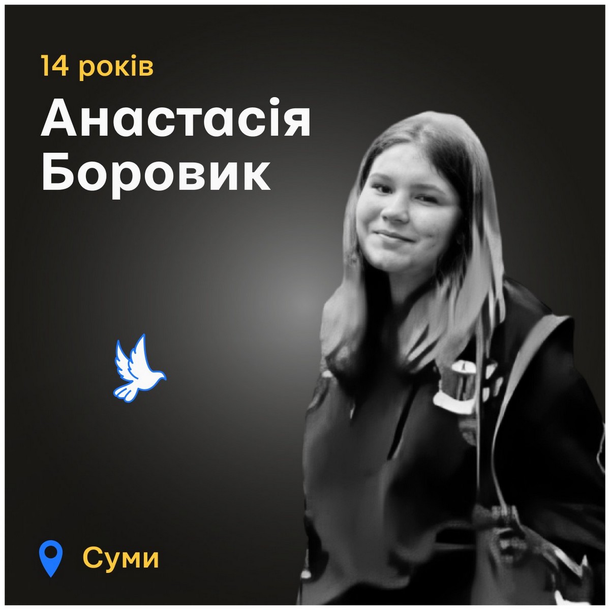 Меморіал: вбиті росією. Анастасія Боровик, 14 років, Суми, листопад