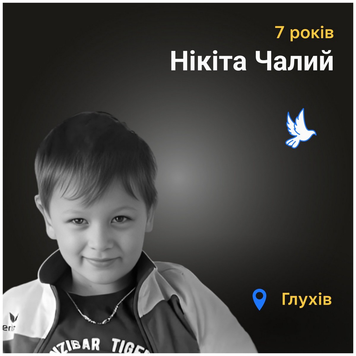 Меморіал: вбиті росією. Нікіта Чалий, 7 років, Сумщина, листопад