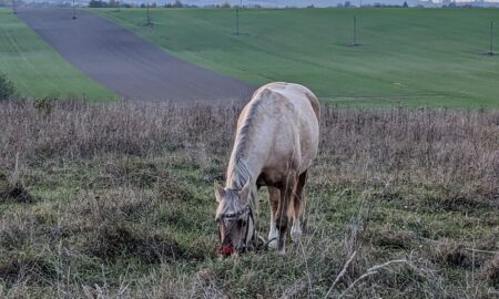 2 грудня – яке сьогодні свято, прикмети і традиції, пам’ятні дати, іменини