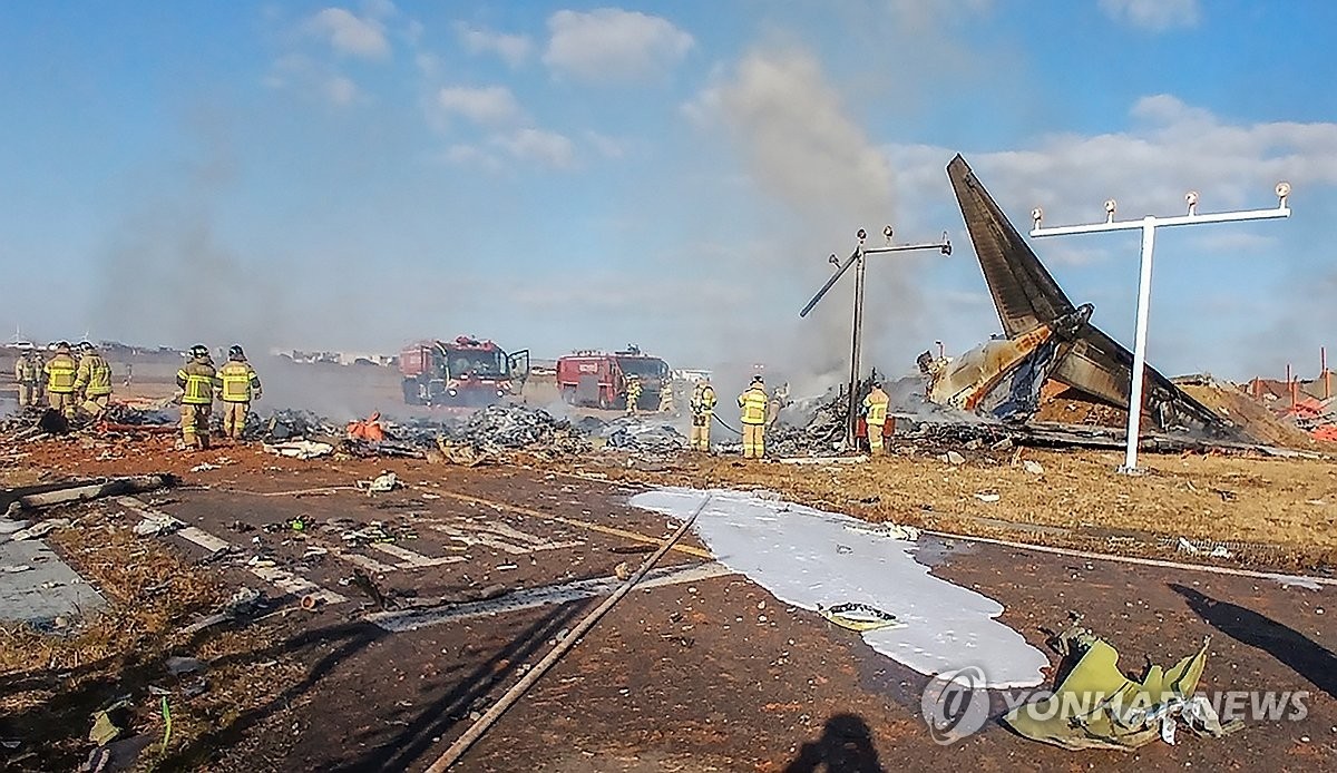 Відео моменту: пасажирський літак розбився у Південній Кореї