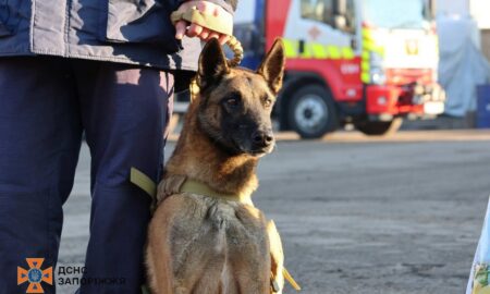 виховали та навчили всім необхідним навичкам.  Шість років собака працював у Запорізькому гарнізоні, він виконав безліч важливих завдань Рятувальники Запоріжжя