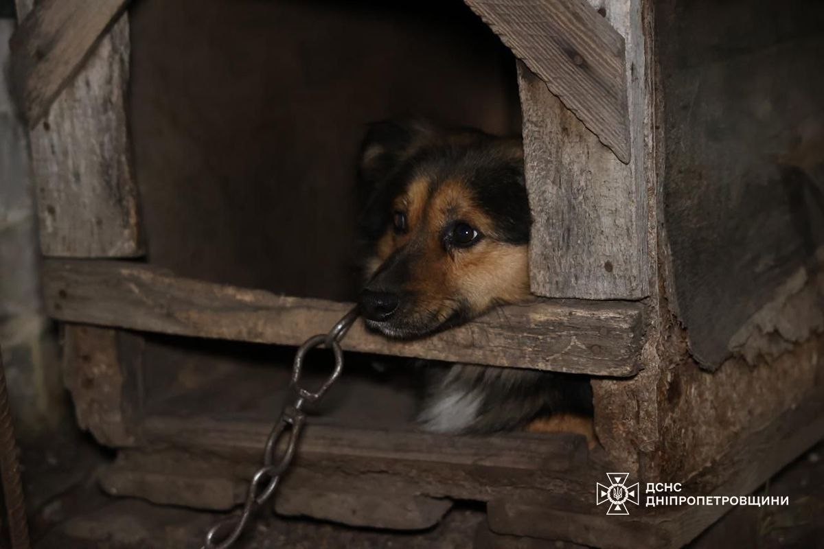 Масована нічна повітряна атака 27 січня: виникли масштабні пожежі – все, що відомо 