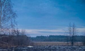 Серед обгорілої трави знайшли тіло жінки: трагедія на Львівщині