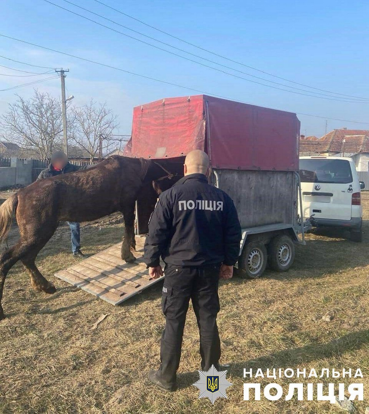 Бив коня та знущався над ним: затримано 37-річного мешканця Закарпаття