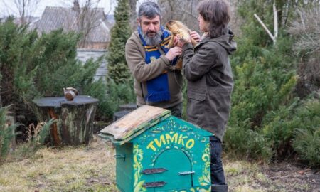 Вперше за 21 рік у День Бабака українські бабаки з династії Тимка не вийшли до публіки: якою ж буде весна?