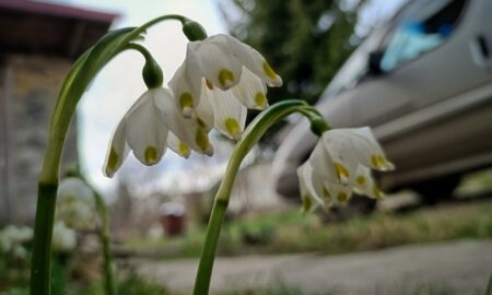 Індексація пенсій, перехід на літній час, зміна цін на ліки – що чекає на українців у березні