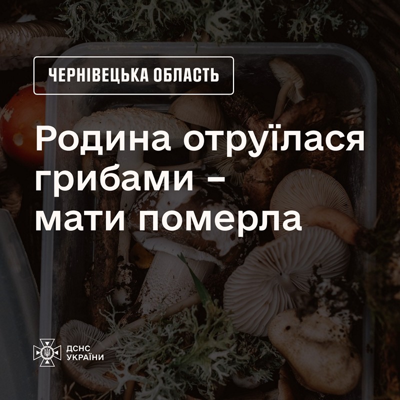 Мати загинула, батько й син госпіталізовані – на Буковині сім’я отруїлася грибами