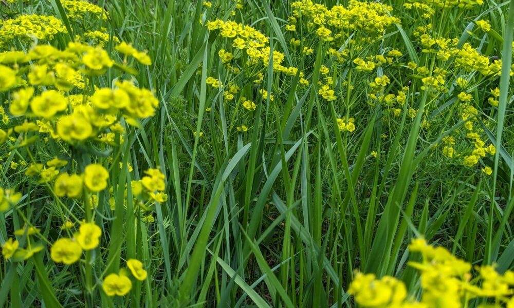 13 березня  – яке сьогодні свято, прикмети і традиції, пам’ятні дати, іменини